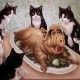 Avatar photo